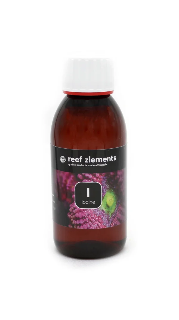 Reef Zlements I (Jod)